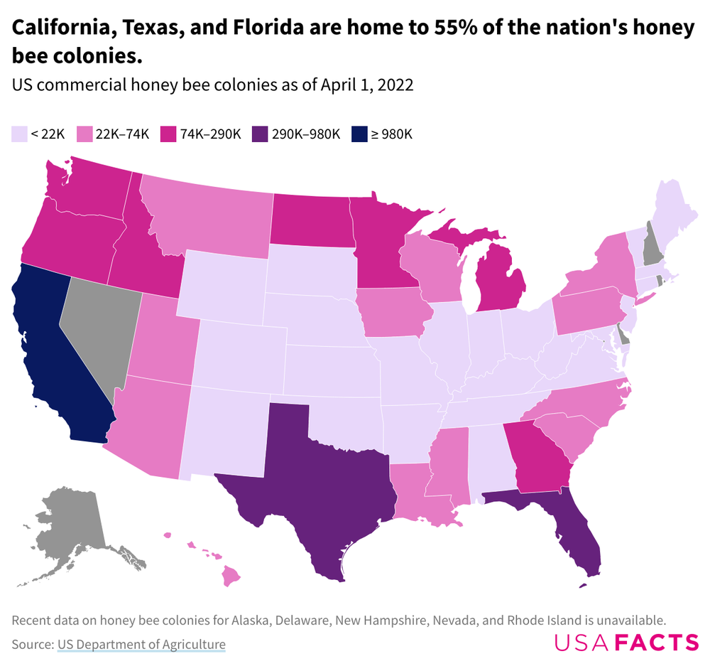 A map of US states showing commercial honey bee colonies by state, with California, Texas, and Florida, having the largest numbers.