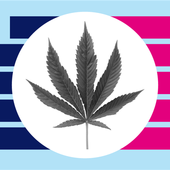 CRIME 06 Drug Marijuana Legalization Bars Up Down Pink Blue