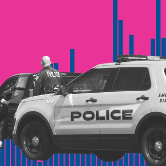 CRIME 09 Police Car Arrests Traffic Ticket DUI Bars Up Pink Blue