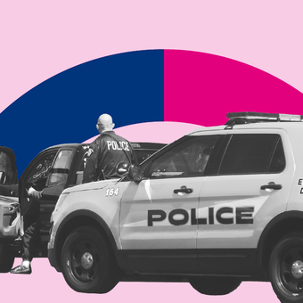 CRIME 09 Police Car Arrests Traffic Ticket DUI Pie Percent Pink Blue