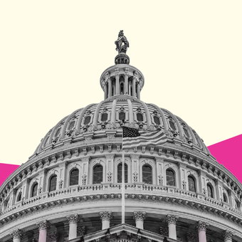 GOVERNMENT FINANCES 01 Capitol Building Spending Revenue Taxes Line Up Pink