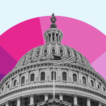 GOVERNMENT FINANCES 01 Capitol Building Spending Revenue Taxes Donut Pie Pink