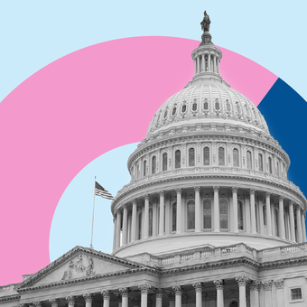 General USA America Government 02 Capitol Building Pie Donut Pink Blue