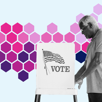 Voting Election Demographics