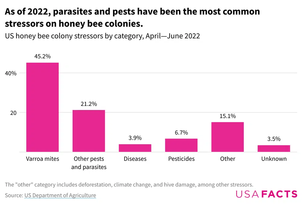 A column graph depicting which factors are stressing honey bee colonies in the US, mainly varroa mites and other parasites.