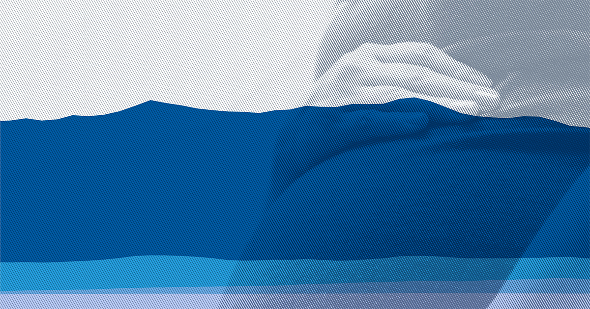 Preliminary data shows a higher death rate and an increase in excess deaths in 2021