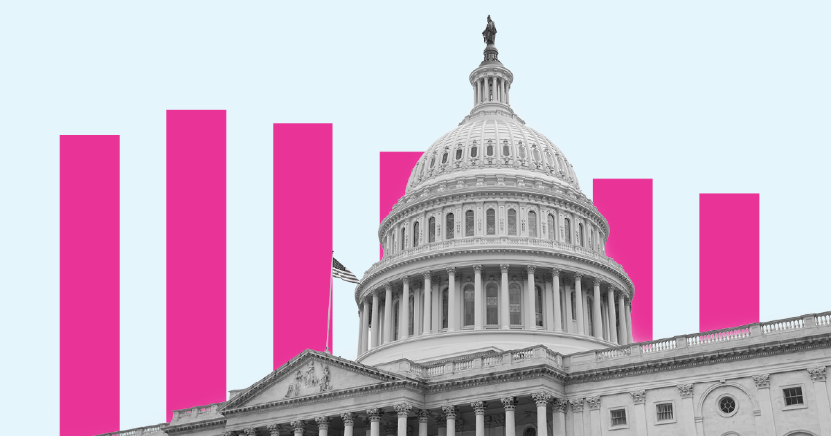 General USA America Government 02 Capitol Building Bars Down Pink