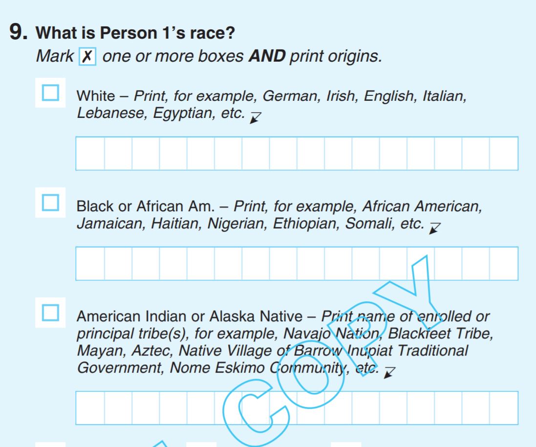 A snippet of how the Census will ask about race in 2020.